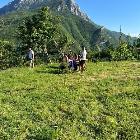 Bujtina Merturi Aprip
