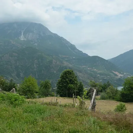 Bujtina Merturi